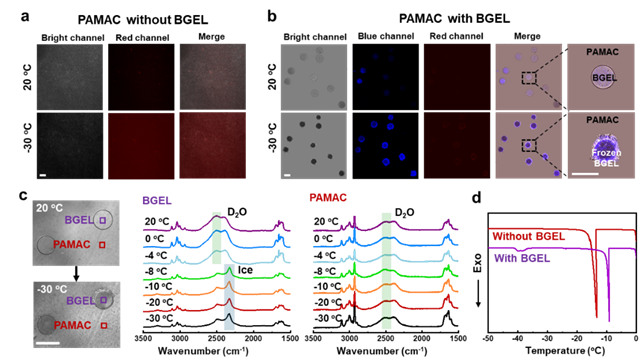8b578ac5b01749e8a5a6d0d8a4527e6c.png